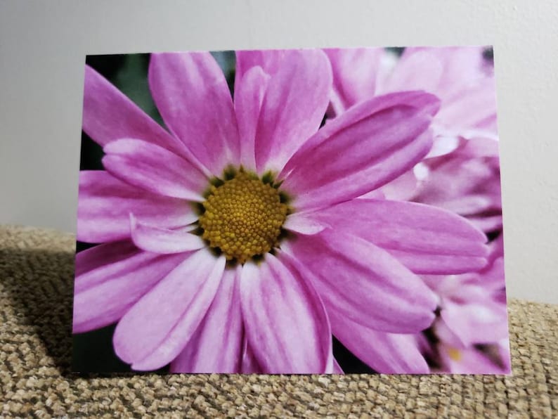 Assorted FLOWER Note Cards boxed Set of 10 Blank Note Cards Etsy