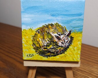 Curled in a Ball (Miniature Acrylic Painting with Easel)