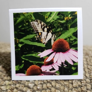 Eastern Tiger Swallowtail in July (Laminated Magnetic Bookmark)