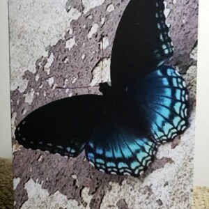 Assorted BUTTERFLY Note Cards boxed Set of 10 Blank Note | Etsy