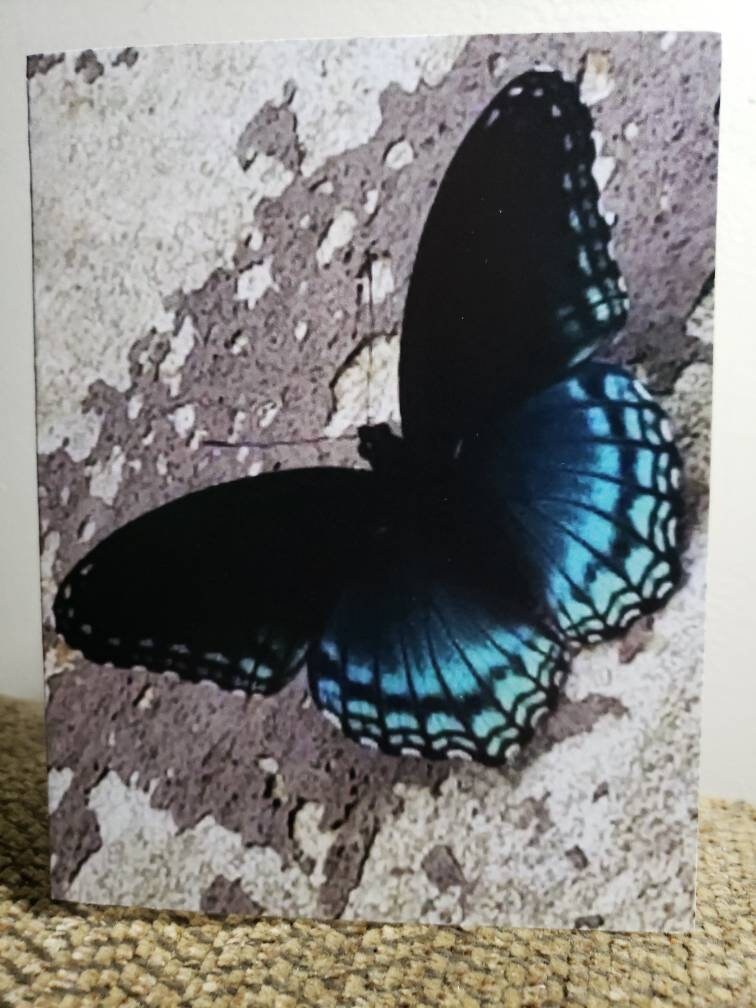 Assorted BUTTERFLY Note Cards (boxed Set of 10 Blank Note Cards With ...