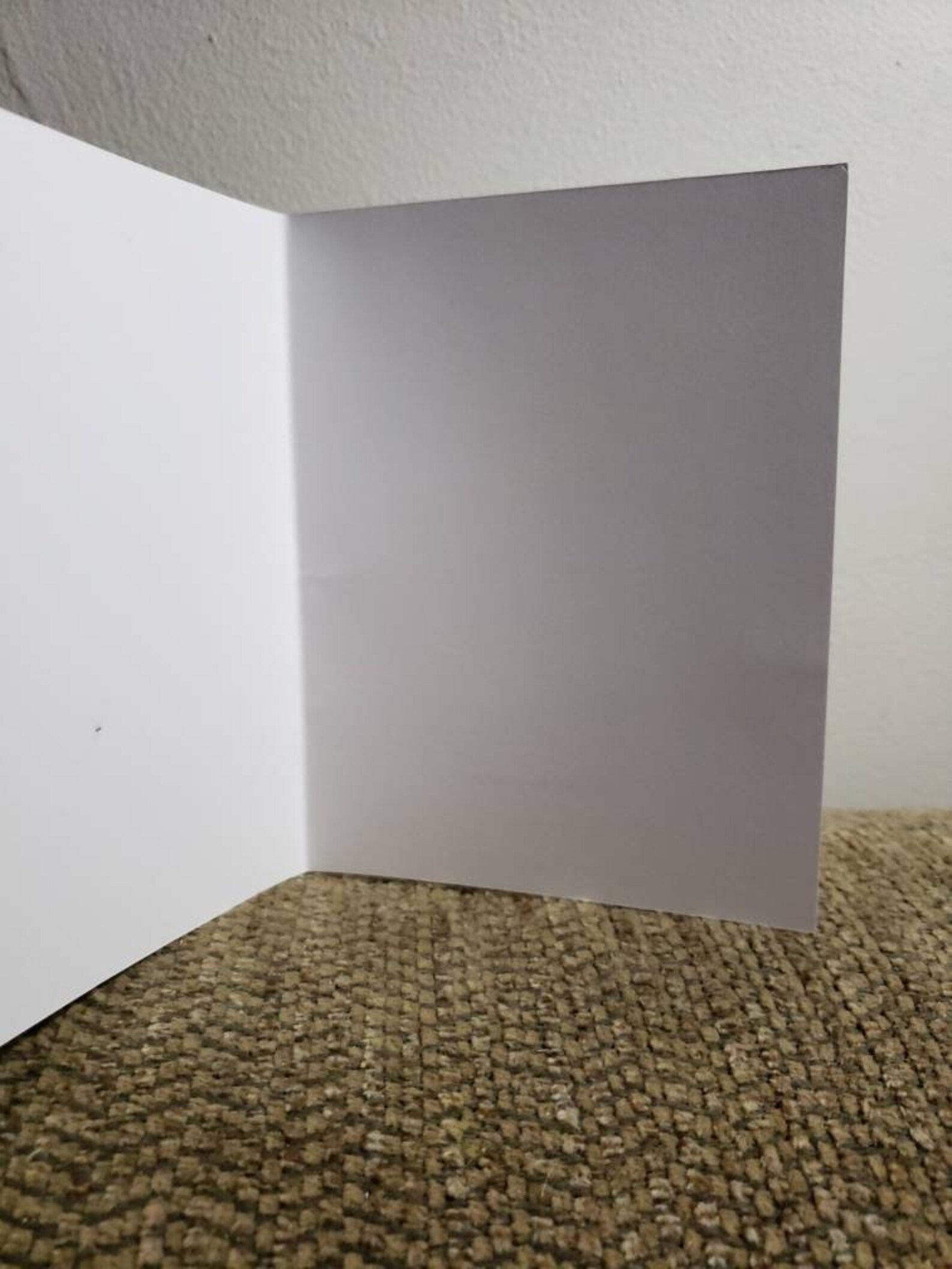 Assorted BLANK Note Cards (boxed Set of 10 Cards With Envelopes) - Etsy
