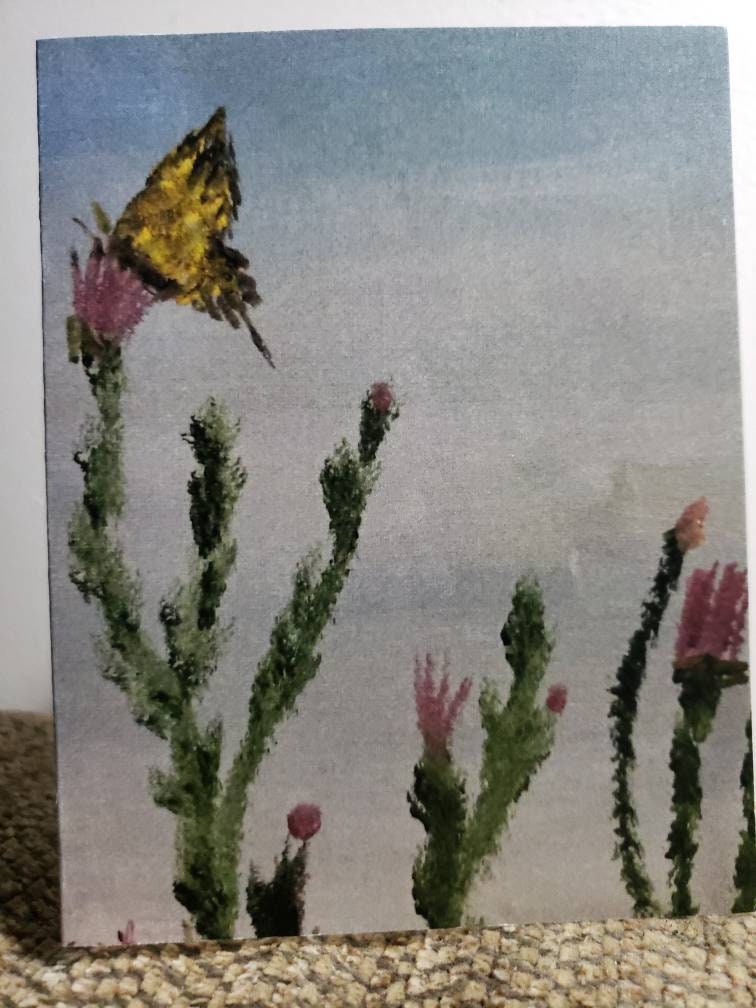 Assorted BUTTERFLY Note Cards (boxed Set of 10 Blank Note Cards With ...