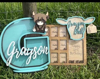 Baby's first year picture frame and matching letter bank