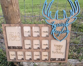 Personalized Baby's First Year Picture Frame. Newborn-1st Birthday