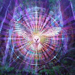 Night Vision - Art Print - Visionary Art Owl