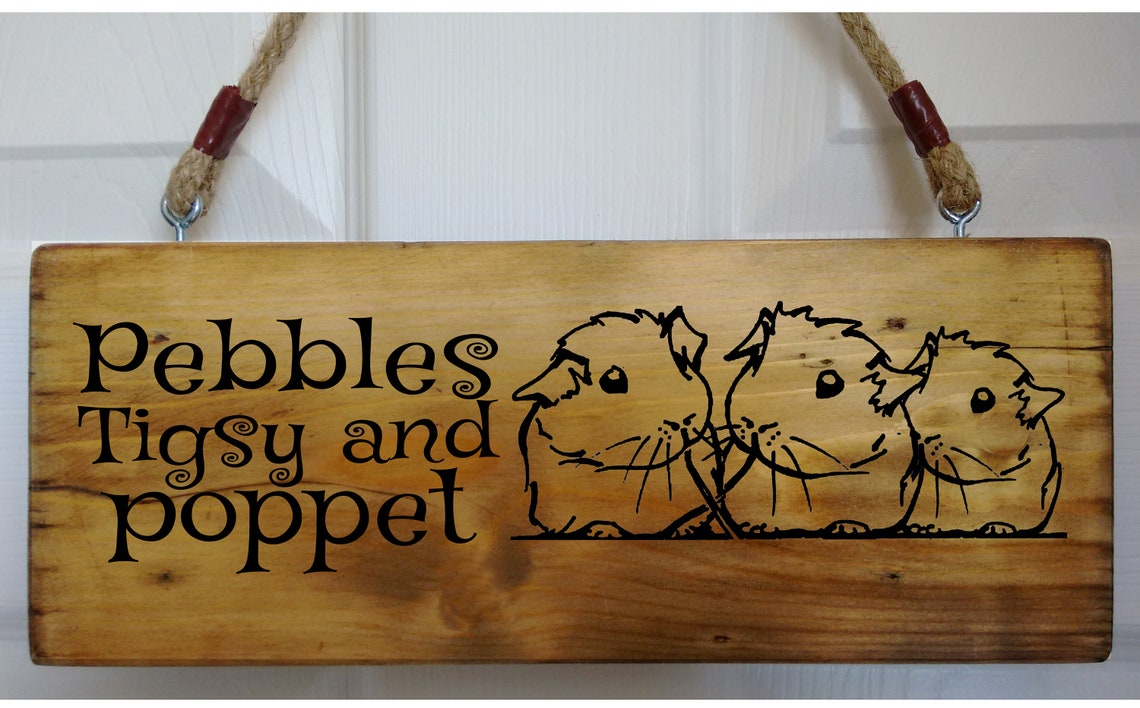 Personalised Guinea Pig Sign Plate Gate Hutch Run Plaque Own Etsy