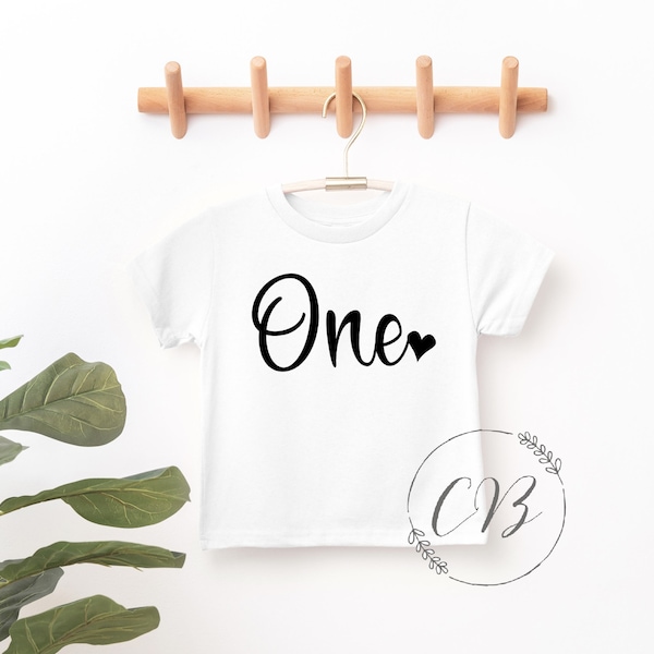 First Birthday t-Shirt, 1st Birthday shirt, One 1 (#047)