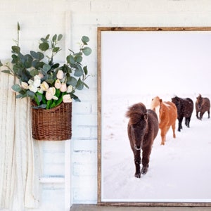 Horse Print, Horse Wall Art, Horse Head Photography, Equine Wall Decor, Animal Prints, Printable Wall Art Horse, Large Wall Art Prints Photo