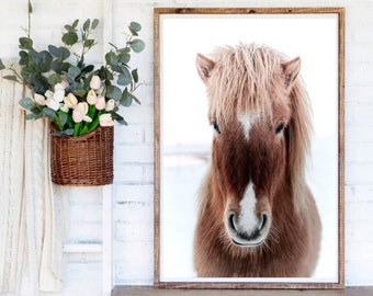 Impresión de caballo, arte de la pared del caballo, fotografía de la cabeza del caballo, decoración de la pared equina, impresiones de animales, caballo de arte de la pared imprimible, gran pared arte impresiones foto