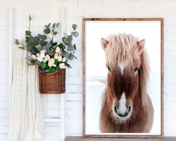 Horse Print, Horse Wall Art, Horse Head Photography, Equine Wall Decor, Animal Prints, Printable Wall Art Horse, Large Wall Art Prints Photo