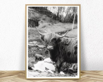 Highland Kuh, Kuh Wand Kunst Dekor, Schottland Kuh Druck, Farm Kunst digital, digitale Kuh Download, Bauernhof Tier Digital, Shaggy Kuh Wand Kunstdruck
