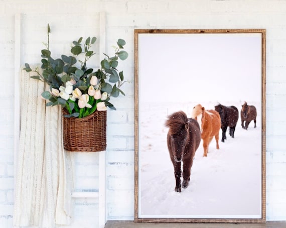 Horse Print, Horse Wall Art, Horse Head Photography, Equine Wall Decor, Animal Prints, Printable Wall Art Horse, Large Wall Art Prints Photo