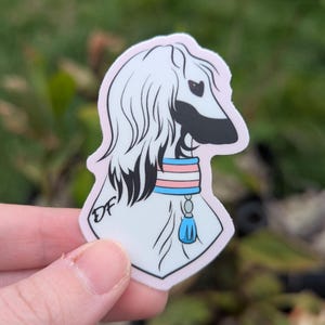 May include: A sticker featuring a stylized Afghan Hound dog with a white coat, black snout, and a blue, pink, and white collar. The sticker has a pink border and the initials "DF" are visible. The dog has a blue tassel.
