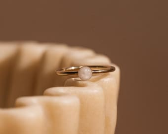Cremation Ring - 14k Gold Filled or Sterling Silver - Tarnish resistant - Cremation jewelry with pet ashes - Ash jewellery