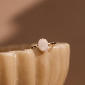 Cremation Large Oval Ring- 14K Gold Filled, Pet Cremation Jewelry