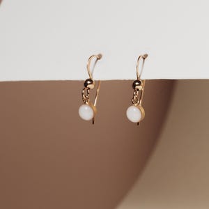 Cremation Drop Fish Hook Earrings, 14k Gold Filled- Pet Cremation Jewelry