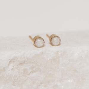 Cremation Stud Earrings - 14k Gold Filled, Pet Cremation Jewelry