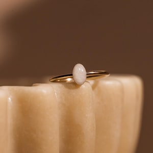 Cremation Small Oval Ring - 14k Gold Filled, Pet Cremation Jewelry