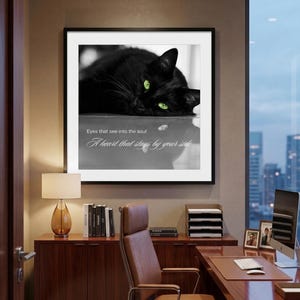May include: A framed black and white print of a black cat with green eyes. The cat is lying down, and the print includes the text "Eyes that see into the soul, A heart that stays by your side." The print is in a modern office setting.