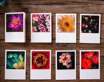 8 Notecards Set: Contemplation | Floral Photography Fine Art Cards | Set of 8 Blank Folded Cards and Envelopes