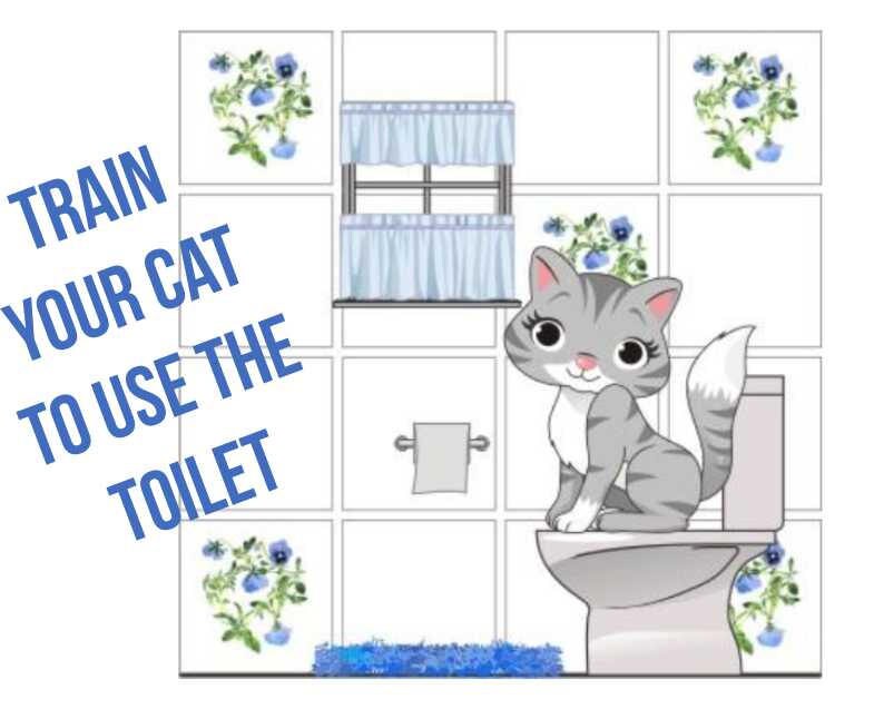 Train Your Cat To Use The Toilet No More Litter Box Kitty Etsy