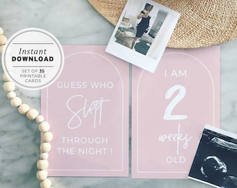 Blush Minimalist Pregnancy Milestone Cards (Set of 35) | INSTANT DOWNLOAD #035