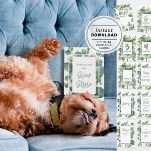 Aquarel Eucalyptus Puppy Dog Milestone Cards - SET VAN 46, Print thuis, Fotokaarten #015