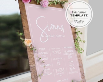 Blush 1st Birthday Milestone Poster, Minimalist First birthday Milestone Sign, Baby Keepsake Board, Printable Editable Template #035