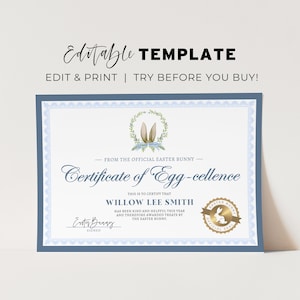 Certificado de Conejo de Pascua Imprimible, Certificado de Celencia de Huevo del Conejito de Pascua, Del escritorio del Conejito de Pascua / PLANTILLA EDITABLE #099