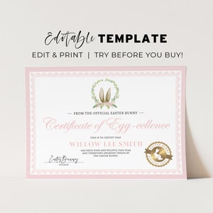 Certificado de Conejo de Pascua Imprimible, Certificado de Celencia de Huevo del Conejito de Pascua, Del escritorio del Conejito de Pascua / PLANTILLA EDITABLE #099