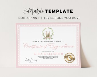 Printable Easter Bunny Certificate, Easter Bunny Certificate of Egg-cellence, From the desk of the Easter Bunny | EDITABLE TEMPLATE #099