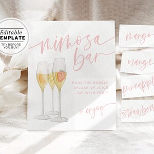 Modèle de signe et d'étiquettes de barre de mimosa minimaliste, signe de mimosa imprimable | MODÈLE MODIFIABLE Aubrey Blush