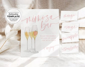 Minimalist Mimosa Bar Sign and Tags Template, Printable Mimosa Sign | EDITABLE TEMPLATE Aubrey Blush