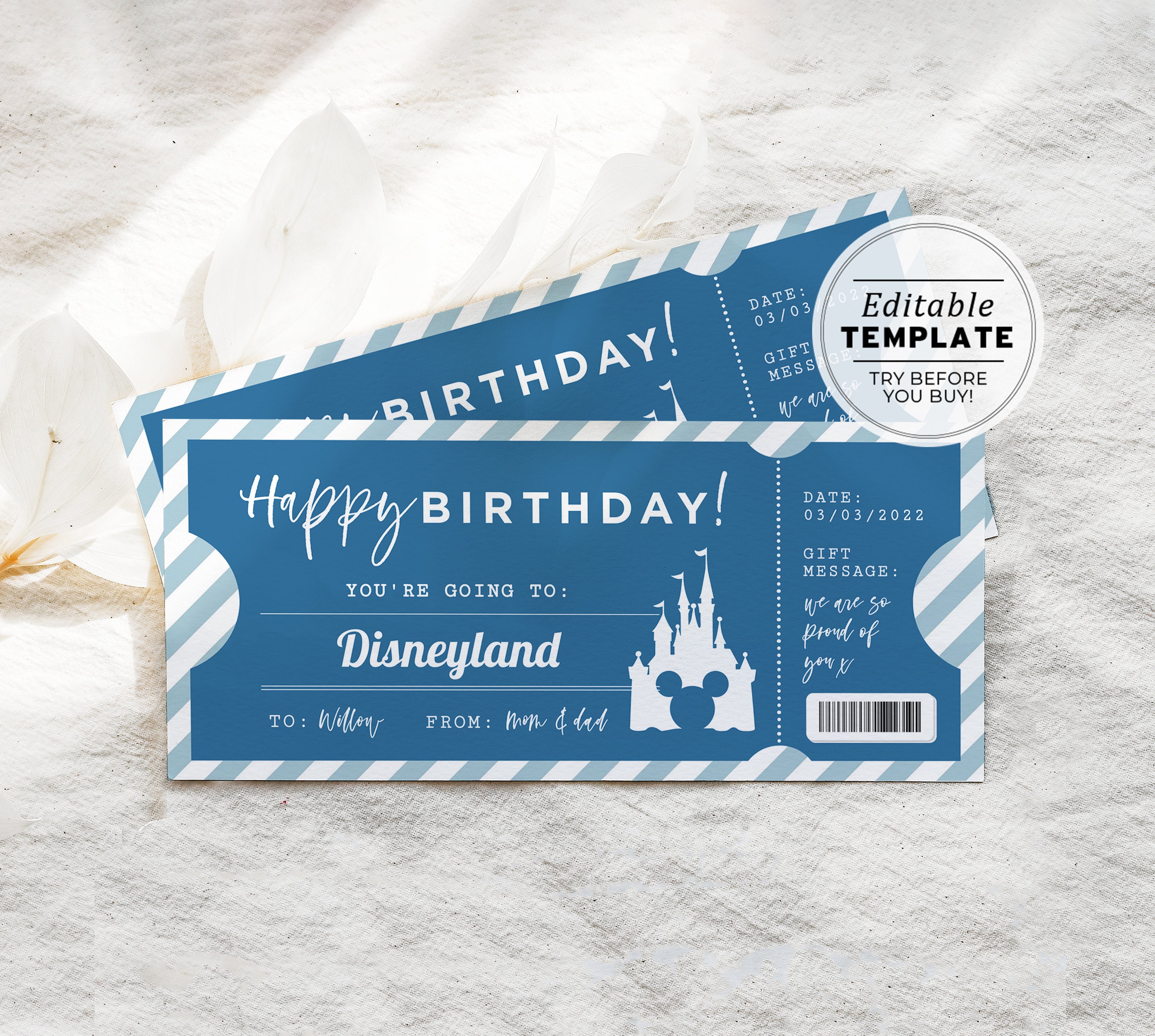 Printable Theme Park Ticket Birthday Gift Template Surprise pic