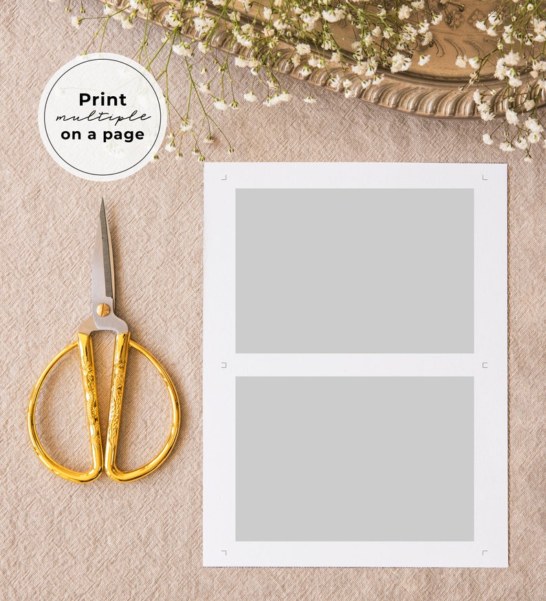 May include: A white card with two blank rectangular spaces for photos. The card is on a beige surface with a pair of gold scissors and a white flower arrangement.