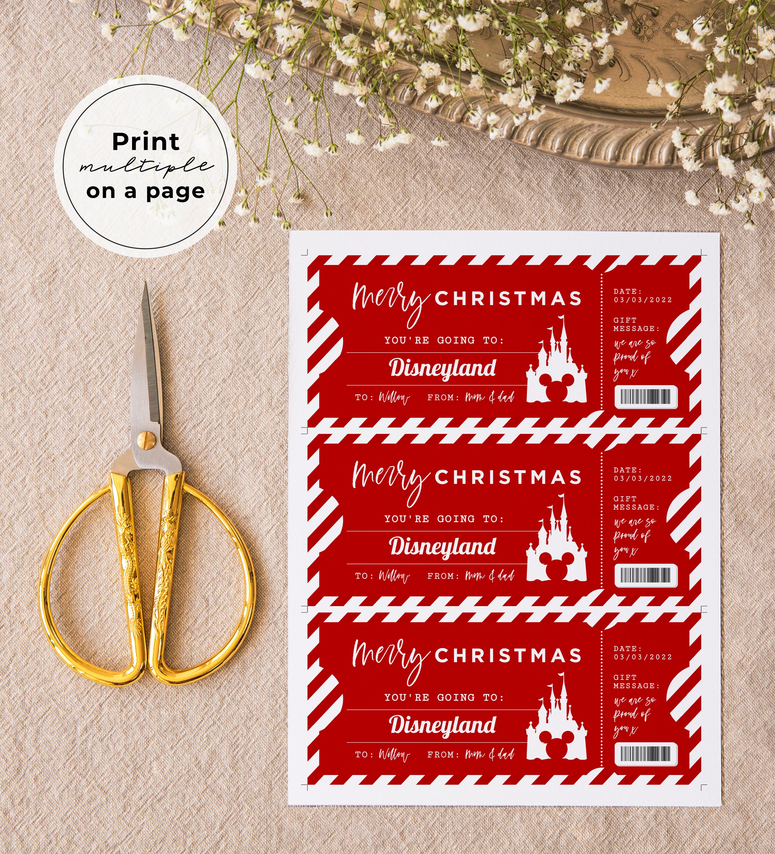 Printable Christmas Theme Park Ticket Christmas Ticket Etsy