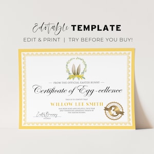 Certificado de Conejo de Pascua Imprimible, Certificado de Celencia de Huevo del Conejito de Pascua, Del escritorio del Conejito de Pascua / PLANTILLA EDITABLE #099