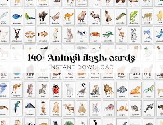 140+ Animal Flash Cards, Montessori Flash Cards, Watercolor Animal Cards, Teachers Aide Cards, INSTANT DOWNLOAD