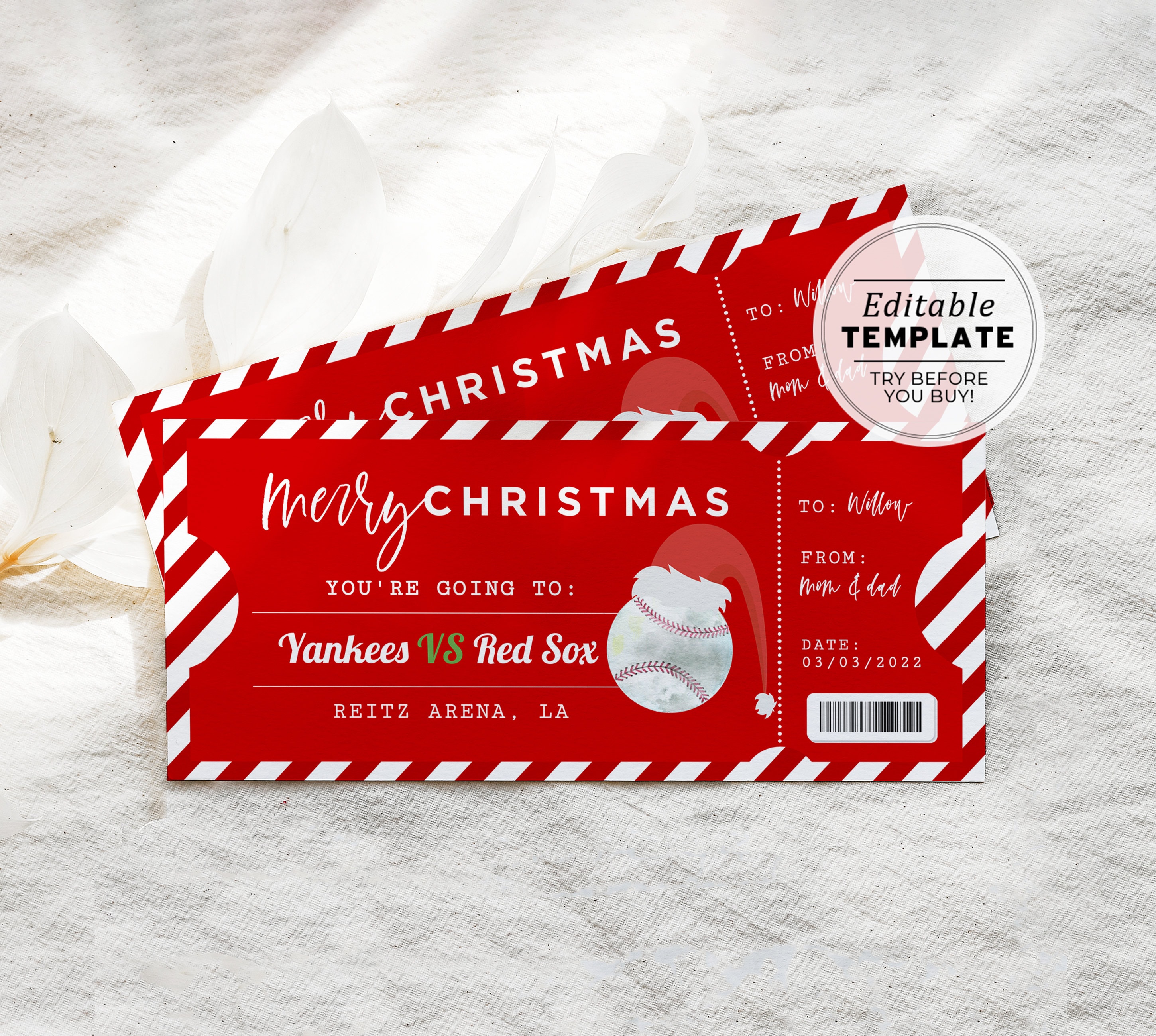 Printable Baseball Game Ticket Christmas Gift Template 