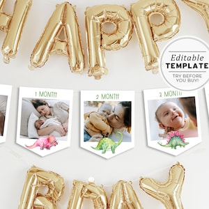 Dino Island Dinosaur Birthday Party Photo Banner Printable | EDITABLE TEMPLATE #046