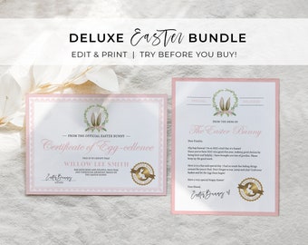 Editable Easter Bunny Letter and Easter Bunny Certificate of Egg-cellence Bundle, From the desk of the Easter Bunny | EDITABLE TEMPLATE #099