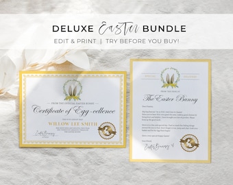 Editable Easter Bunny Letter and Easter Bunny Certificate of Egg-cellence Bundle, From the desk of the Easter Bunny | EDITABLE TEMPLATE #099