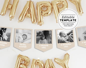 First Birthday Photo Banner Template, Baby's 1st Year Monthly Milestone Cards, Minimalist Photo Bunting, Editable Template #047 Scandi