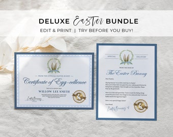 Editable Easter Bunny Letter and Easter Bunny Certificate of Egg-cellence Bundle, From the desk of the Easter Bunny | EDITABLE TEMPLATE #099