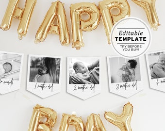 First Birthday Photo Banner Template, Baby's 1st Year Monthly Milestone Cards, Minimalist Photo Bunting, Editable Template #004 Juliette