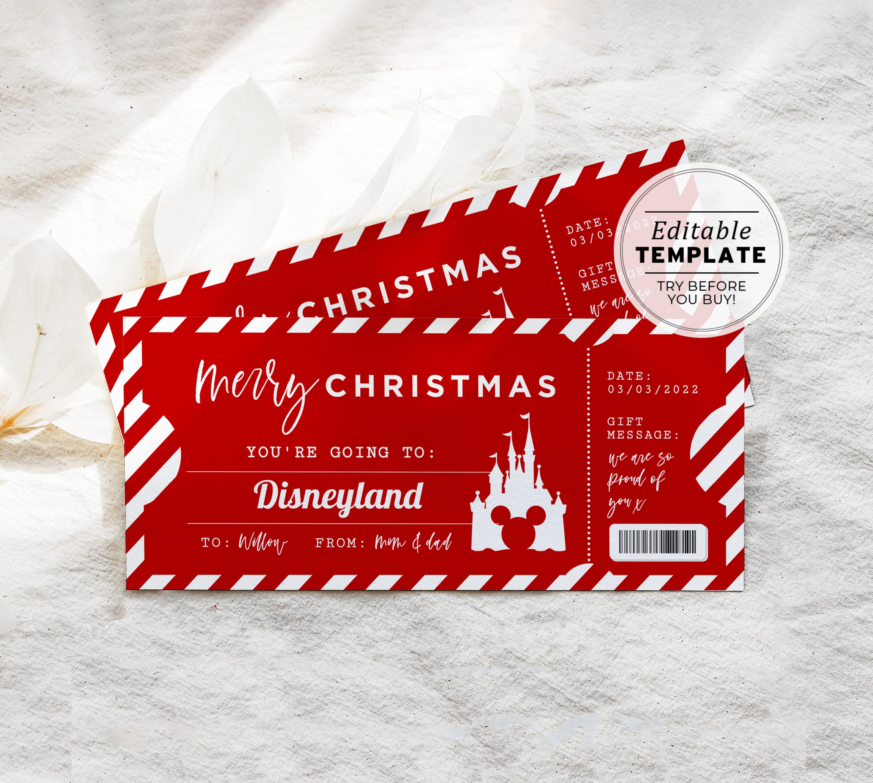 Christmas Disney World Gift Ticket Template