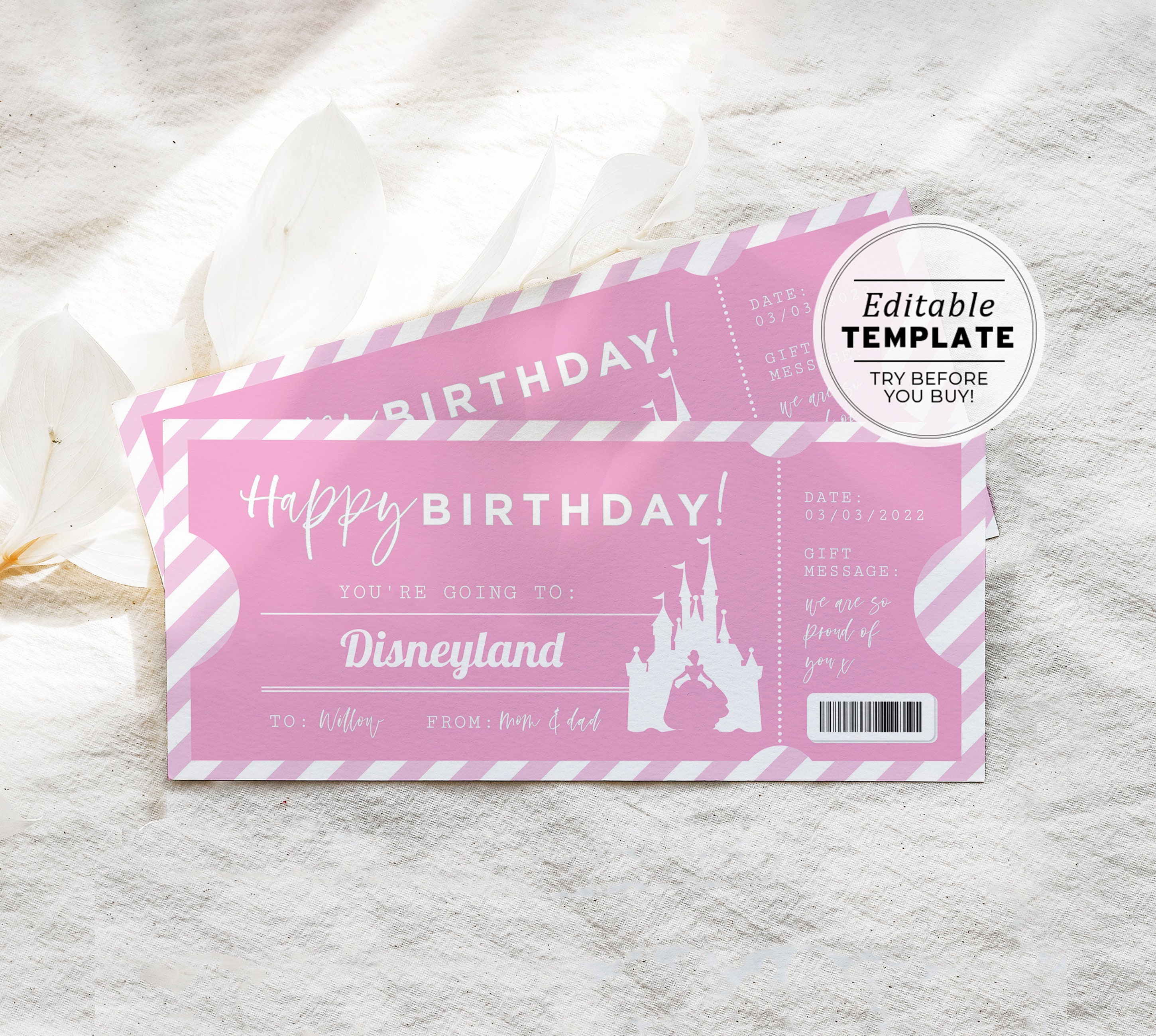printable-princess-theme-park-ticket-birthday-gift-template-princess