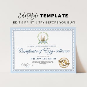Certificado de Conejo de Pascua Imprimible, Certificado de Celencia de Huevo del Conejito de Pascua, Del escritorio del Conejito de Pascua / PLANTILLA EDITABLE #099