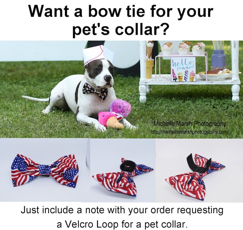 ties for boys Brighly Colored Jelly Beans Pre-tied Bow Tie Jelly Bean bow tie Holiday bow ties Candy bow ties Easter bow ties
